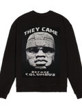 Olmec Head